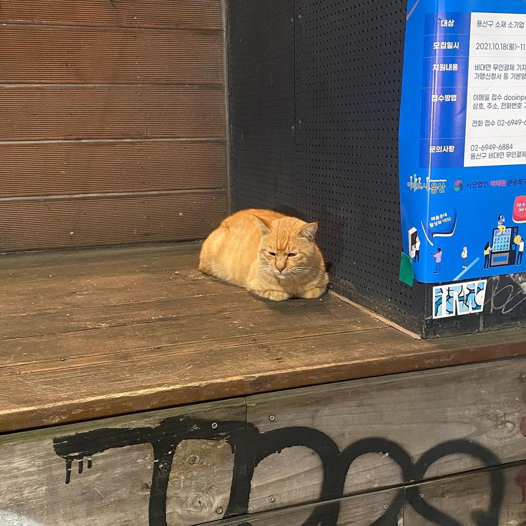 [Social Media] Taeyang Instagram 2021-10-25 21:35 (KST) ?? |  #태양 #Taeyang #SOL