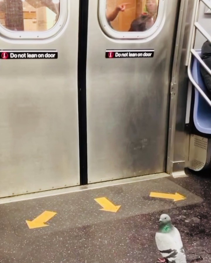 [Social Media] T.O.P Instagram 2020-01-26 10:52:01 (KST) (no caption) | #TOPstagram #탑 #최승현 - 2