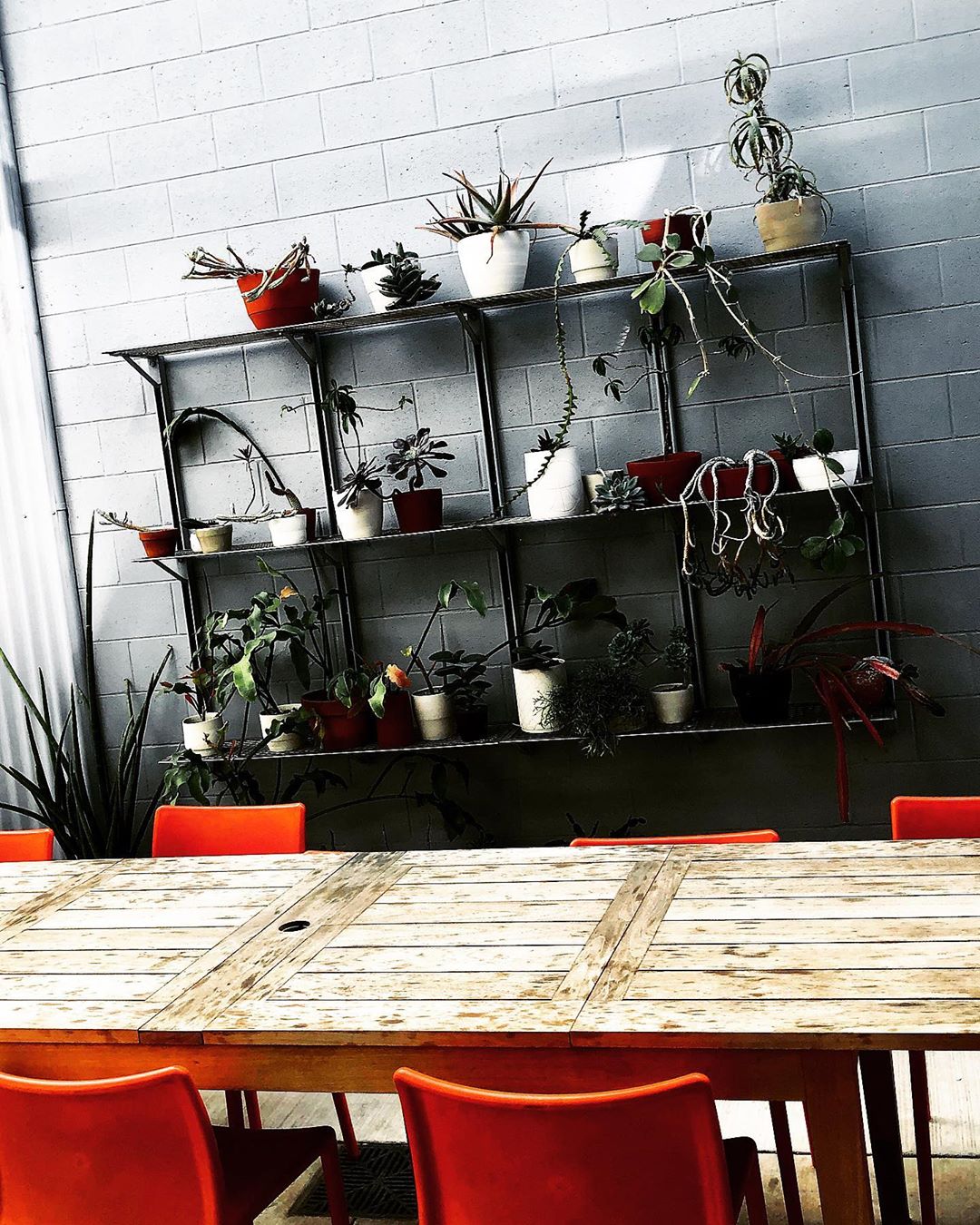 [Social Media] G-Dragon Instagram 2020-02-04 11:35:25 (KST) Super Chilllllllin’ W/ | #권지용 #지용 #GDragon - 2