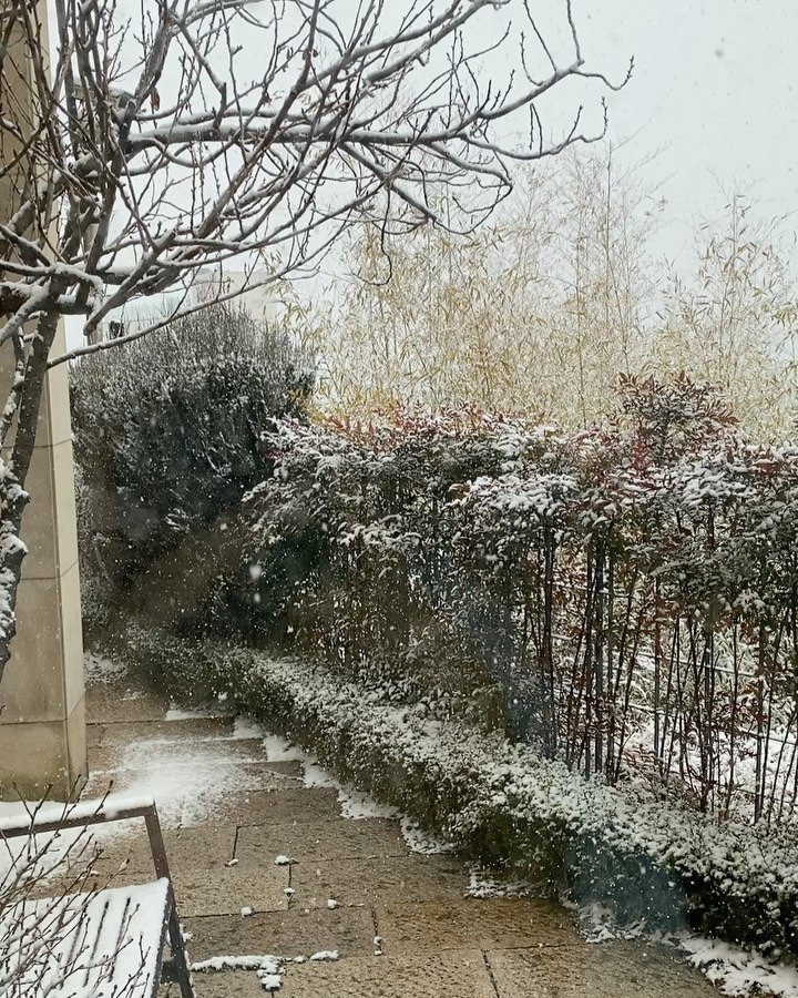 [Social Media] Taeyang 2020-02-16 12:02:35 (KST) ▶ Noon | #태양 #Taeyang #SOL - 1