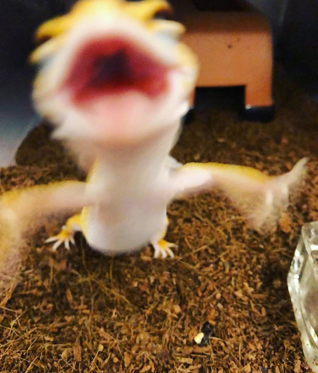 [Social Media] T.O.P Instagram 2020-03-29 21:57:13 (KST) (no caption) | #TOPstagram #탑 #최승현 - 1