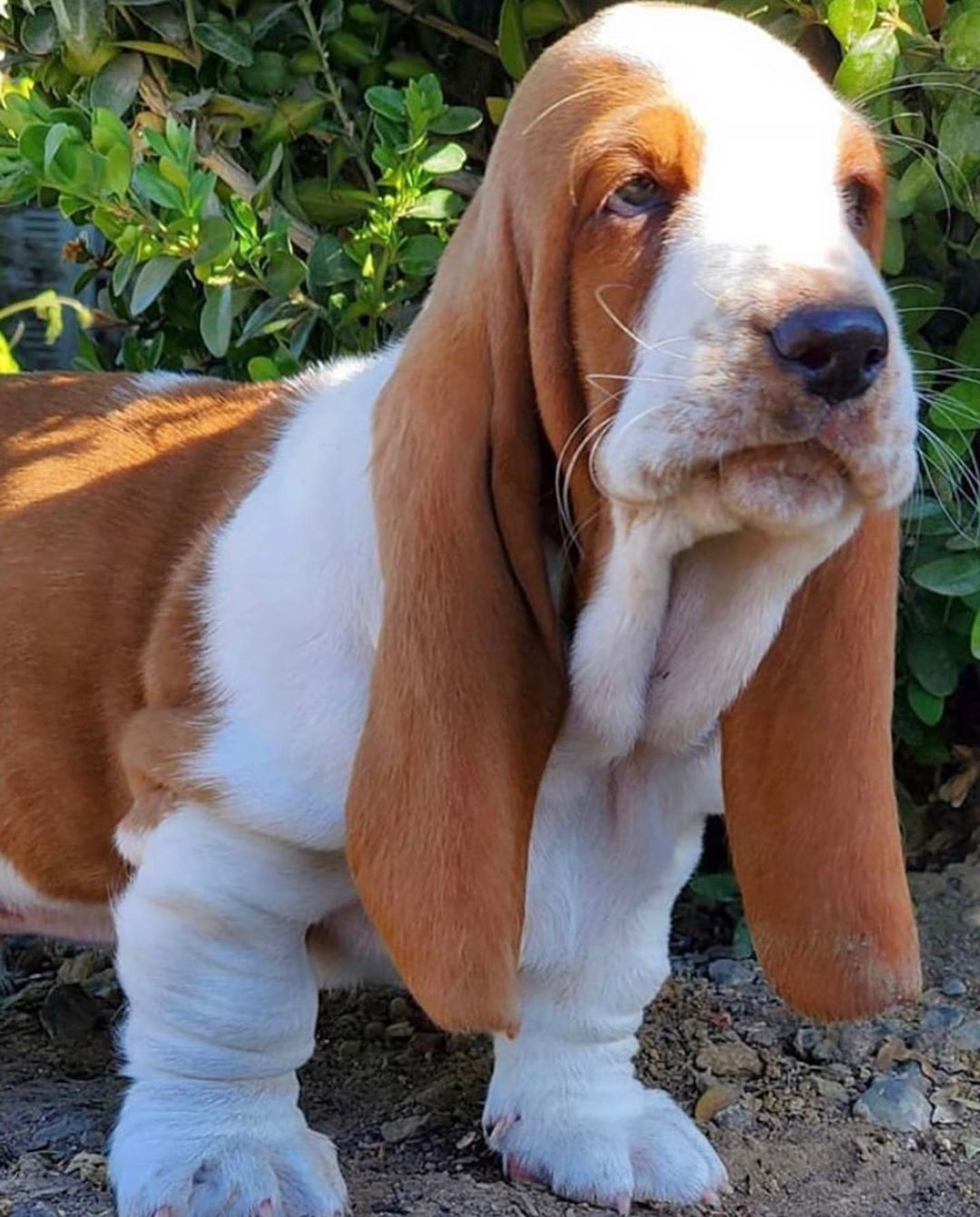 [Social Media] T.O.P Instagram 2020-05-29 16:39:27 (KST) (no caption) | #TOPstagram #탑 #최승현 - 4