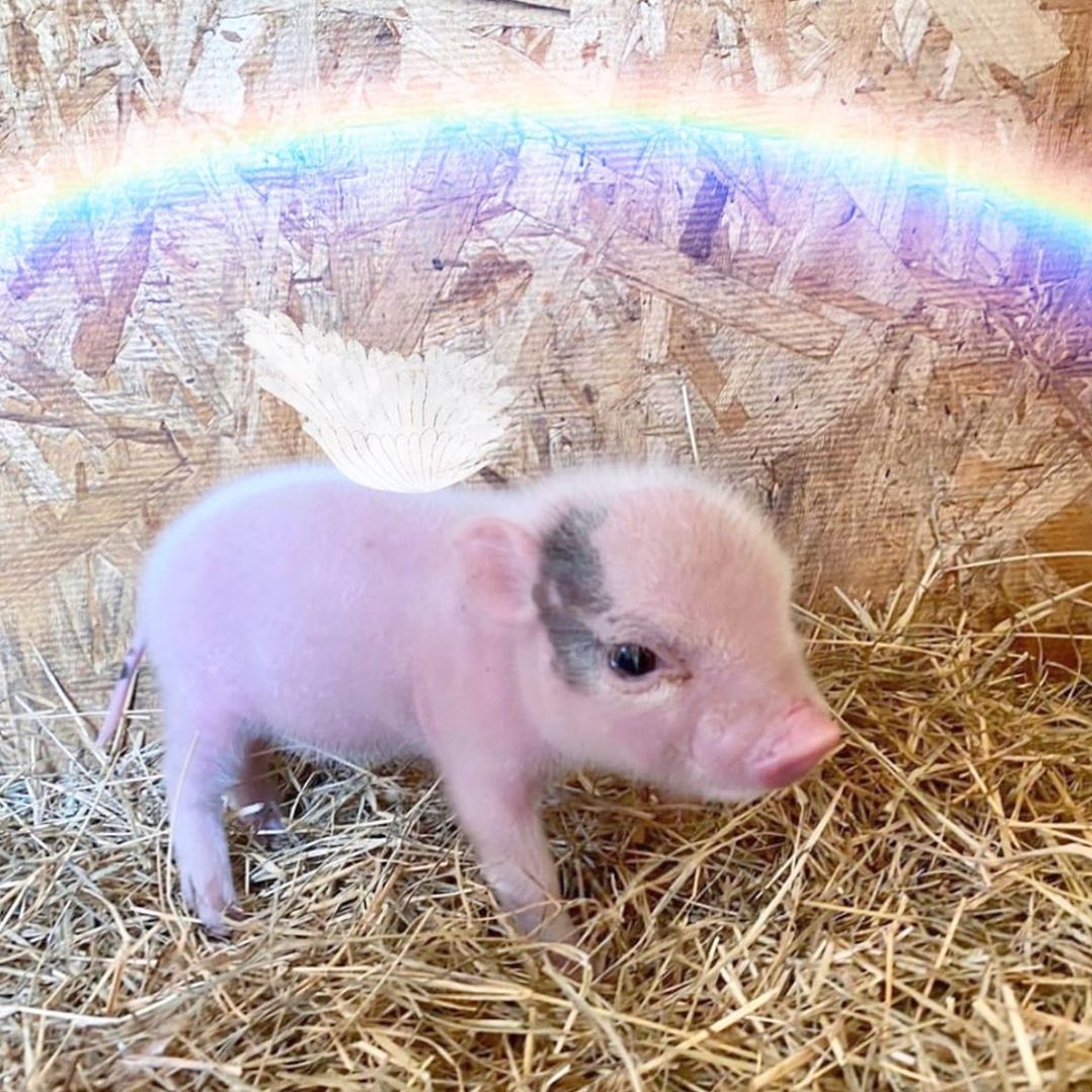 [Social Media] T.O.P Instagram 2020-05-10 03:58:54 (KST) (no caption) | #TOPstagram #탑 #최승현 - 1