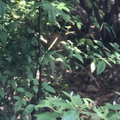 [Social Media] Taeyang 2020-06-05 16:19:30 (KST) ▶ I see you ? | #태양 #Taeyang #SOL