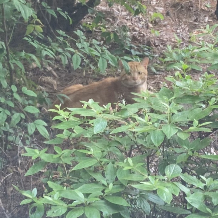 [Social Media] Taeyang 2020-06-05 16:40:19 (KST) ▶ ?☘️??? #뱅봉이 | #태양 #Taeyang #SOL