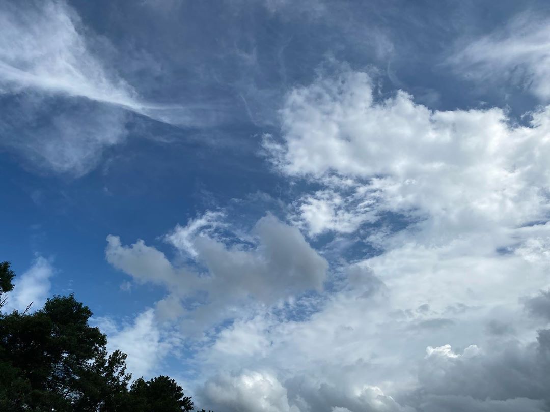 [Social Media] Taeyang 2020-08-01 22:32:56 (KST) “But he answered and said, It is written, Man shall not live by bread | #태양 #Taeyang #SOL - 2