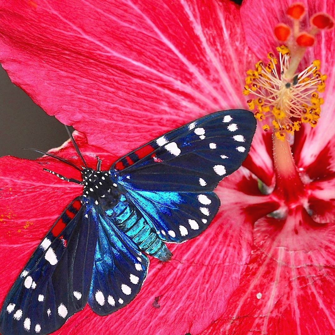 [Social Media] T.O.P Instagram 2020-08-05 23:17:14 (KST) (no caption) | #TOPstagram #탑 #최승현 - 1