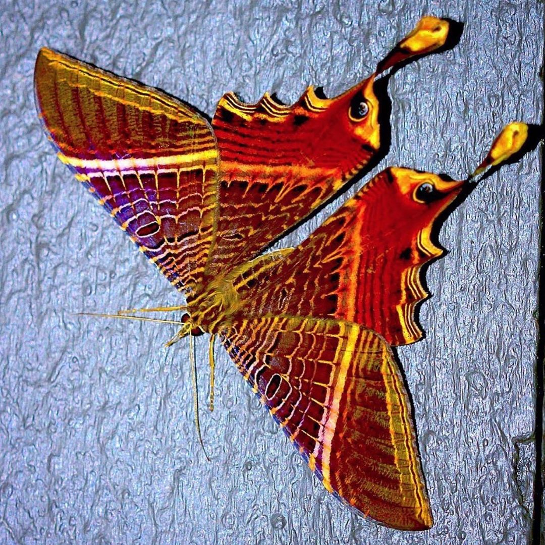 [Social Media] T.O.P Instagram 2020-08-05 23:17:14 (KST) (no caption) | #TOPstagram #탑 #최승현 - 3