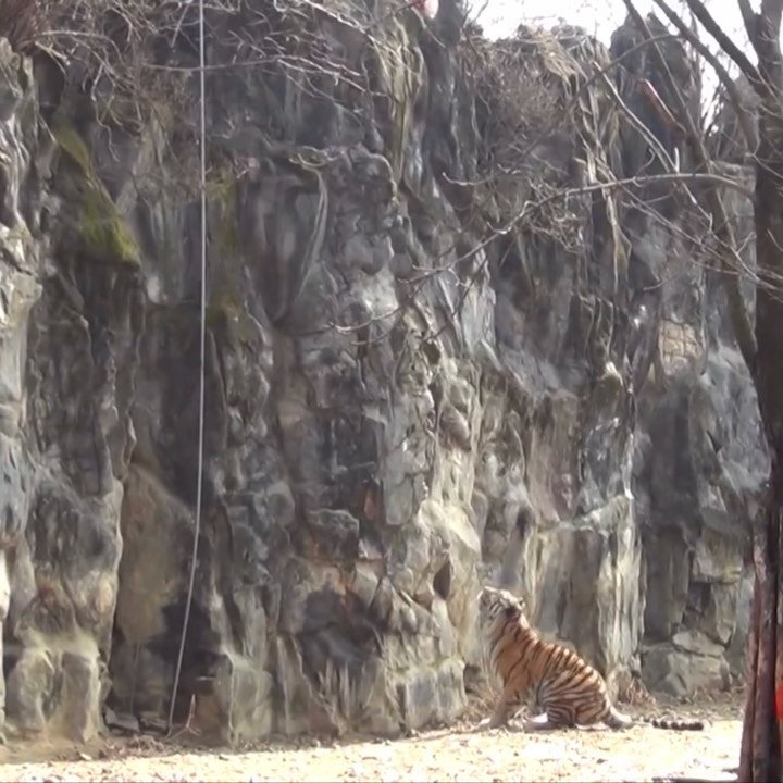 [Social Media] T.O.P Instagram 2020-08-23 18:57:36 (KST) ▶ (no caption) | #TOPstagram #탑 #최승현 - 1