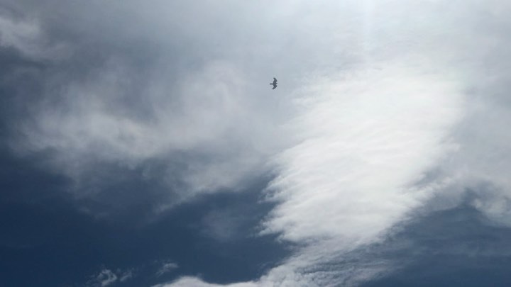 [Social Media] Taeyang 2020-08-09 21:56:20 (KST) ▶ “And ye shall know the truth, and the truth shall make you free. | #태양 #Taeyang #SOL