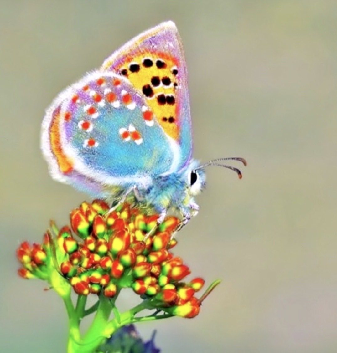 [Social Media] T.O.P Instagram 2020-09-15 00:08:41 (KST) (no caption) | #TOPstagram #탑 #최승현 - 1