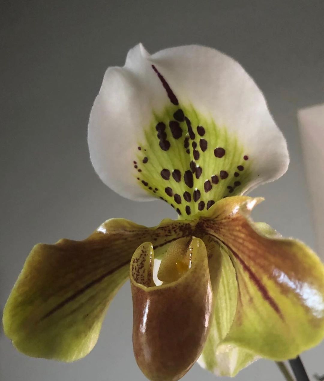 [Social Media] T.O.P Instagram 2020-09-22 15:33:22 (KST) (no caption) | #TOPstagram #탑 #최승현 - 2