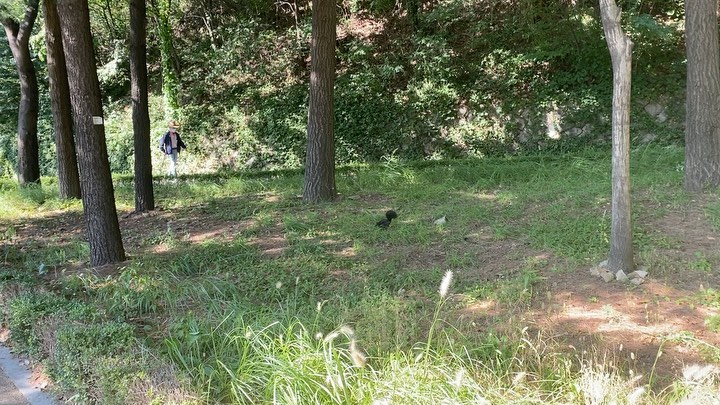 [Social Media] Taeyang 2020-09-19 15:01:29 (KST) ▶ ? #Nationalgiographic | #태양 #Taeyang #SOL