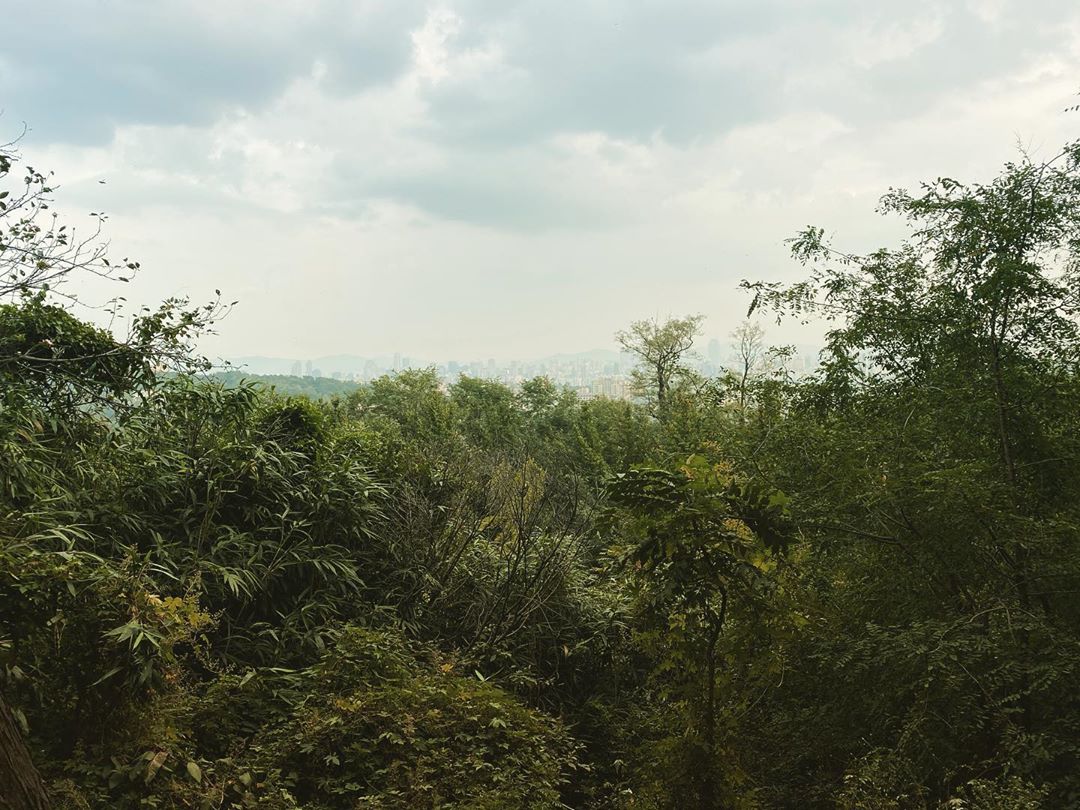 [Social Media] Taeyang 2020-09-30 22:04:56 (KST) ??????? Happy 추석!! ??????? | #태양 #Taeyang #SOL