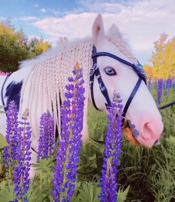 [Social Media] T.O.P Instagram 2020-10-17 15:31:35 (KST) ▶ (no caption) | #TOPstagram #탑 #최승현 - 1