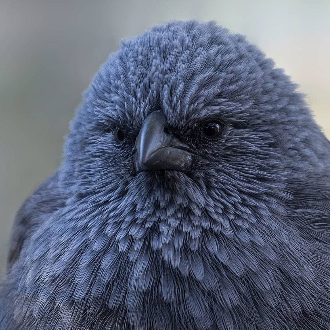 [Social Media] T.O.P Instagram 2020-12-13 06:29:48 (KST) Decalcomania | #TOPstagram #탑 #최승현