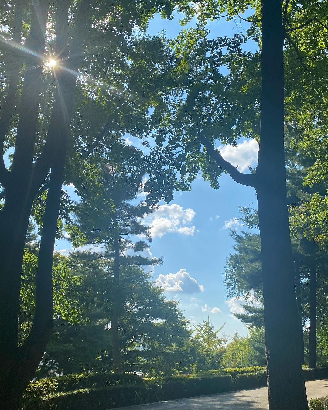 [Social Media] Taeyang Instagram 2021-09-08 15:55 (KST) ??✨?? |  #태양 #Taeyang #SOL