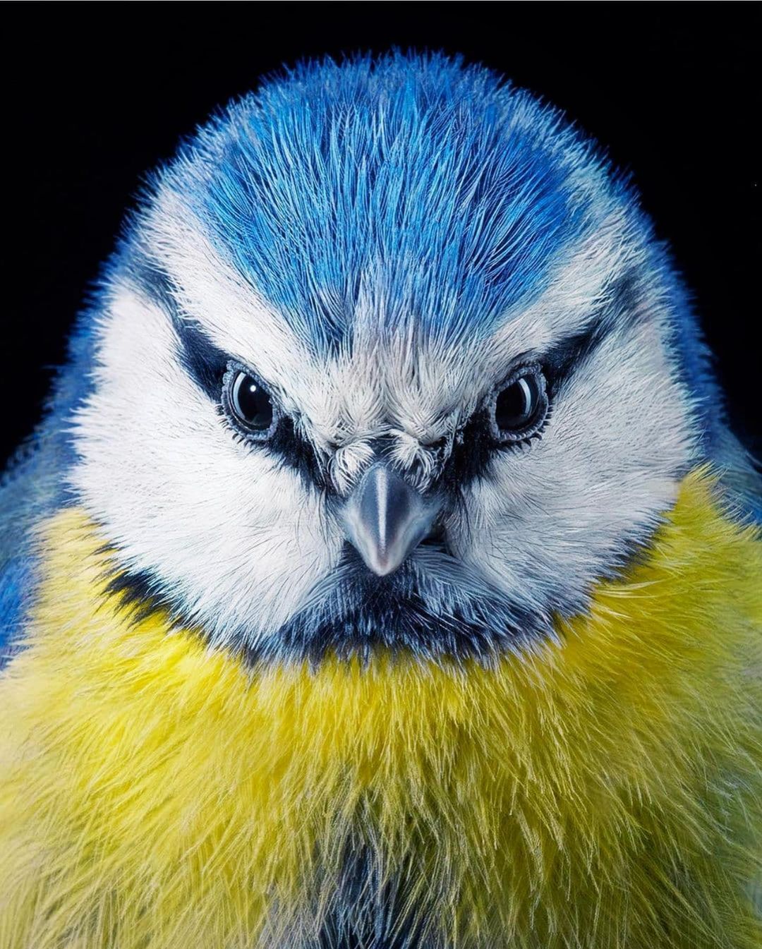 [Social Media] T.O.P Instagram 2021-11-07 08:51 (KST) ~ | #TOPstagram #탑 #최승현