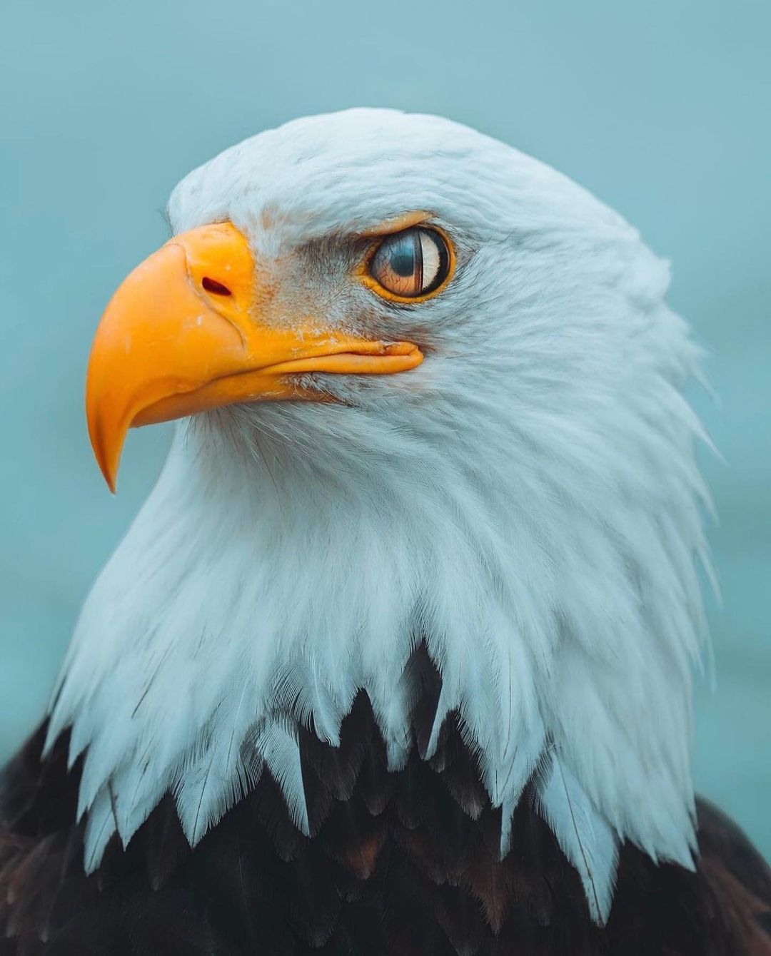 [Social Media] T.O.P Instagram 2022-02-03 09:09 (KST) ~ | #TOPstagram #탑 #최승현