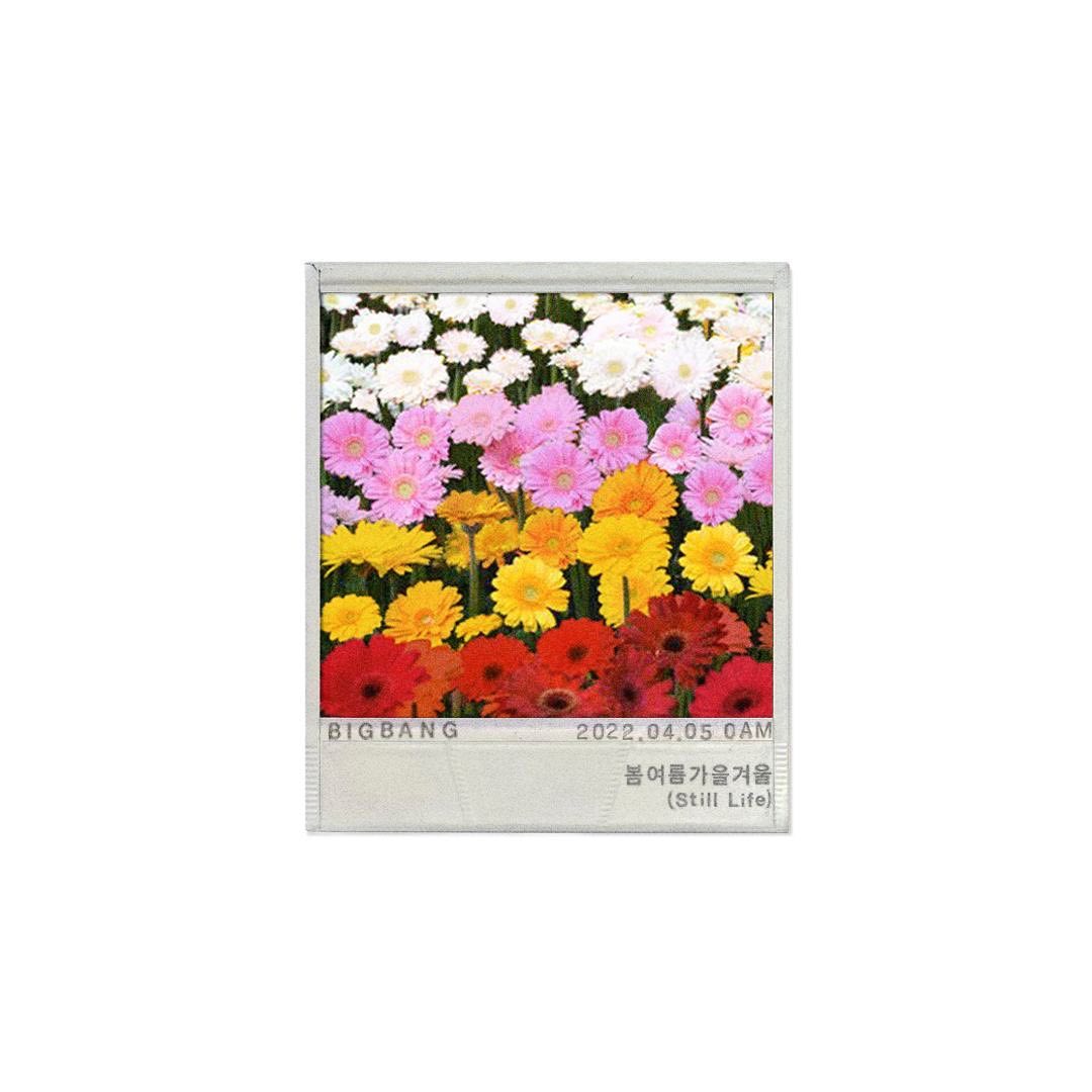 [Social Media] Taeyang Instagram 2022-03-24 00:04 (KST) #봄여름가을겨울 #StillLife |  #태양 #Taeyang #SOL