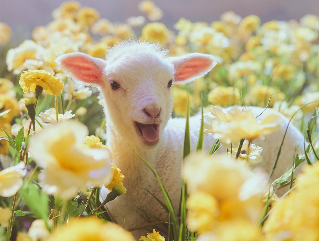 [Social Media] Taeyang Instagram 2022-04-06 22:19 (KST) ? |  #태양 #Taeyang #SOL