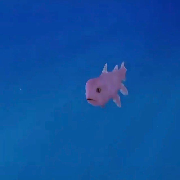 [Social Media] T.O.P Instagram 2020-01-20 12:09:25 (KST) ▶ (no caption) | #TOPstagram #탑 #최승현 - 1