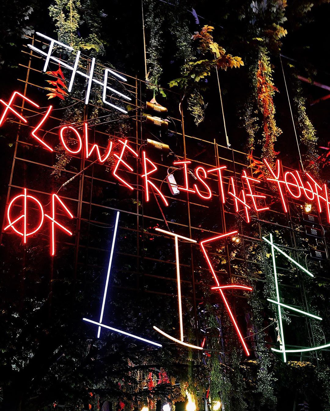 [Social Media] G-Dragon Instagram 2019-11-23 14:39:23 (KST) PEACE•NOISE•ONE #권지용 #지용 #GDragon - 8