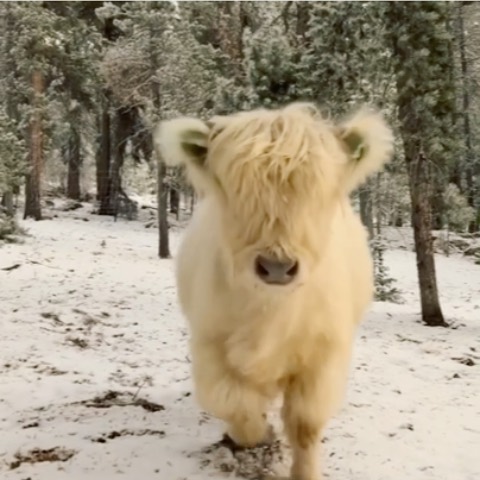 [Social Media] T.O.P Instagram 2019-11-27 12:47:35 (KST) ▶ (no caption) #TOPstagram #탑 #최승현 - 1