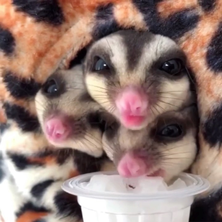 [Social Media] T.O.P Instagram 2019-12-24 15:29:28 (KST) Christmas flower | #TOPstagram #탑 #최승현