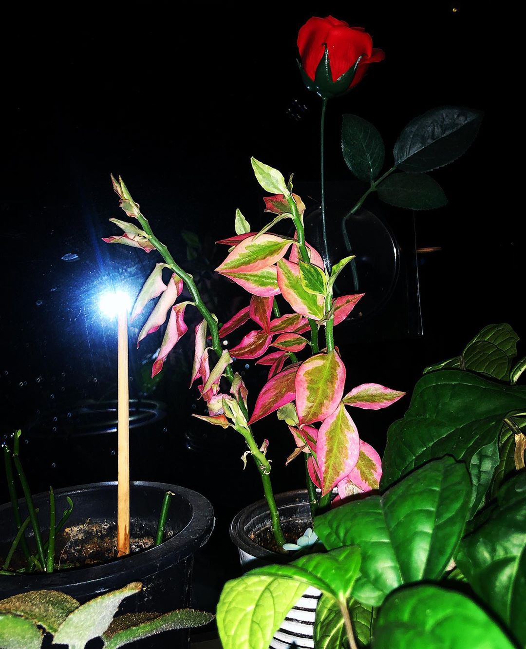 [Social Media] G-Dragon Instagram 2019-12-27 08:08:51 (KST) Home Alone??? | #권지용 #지용 #GDragon - 7