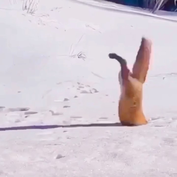 [Social Media] T.O.P Instagram 2019-12-22 15:20:37 (KST) ▶ (no caption) | #TOPstagram #탑 #최승현