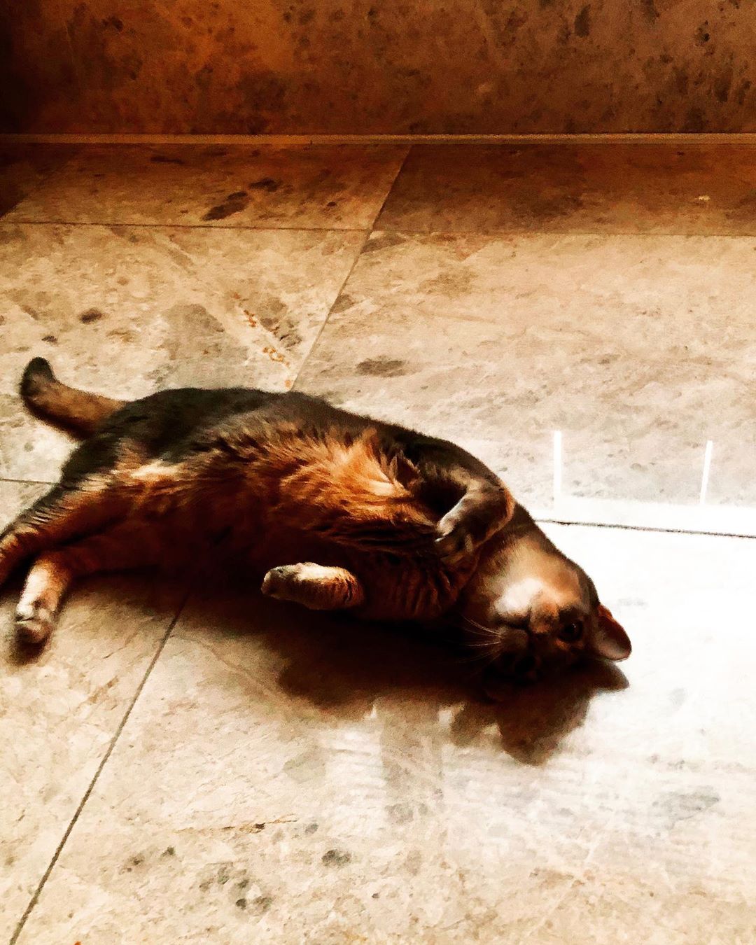 [Social Media] G-Dragon Instagram 2019-12-26 02:46:30 (KST) 메리크리스마스❄️✨ | #권지용 #지용 #GDragon - 3