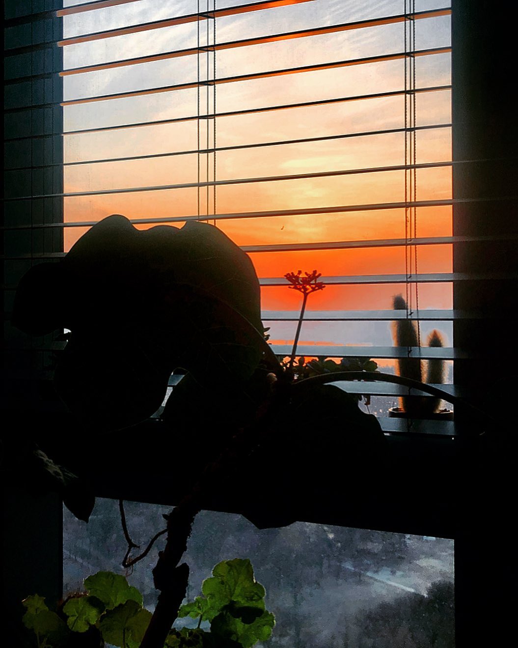 [Social Media] G-Dragon Instagram 2020-01-13 01:33:04 (KST) ? | #권지용 #지용 #GDragon - 1