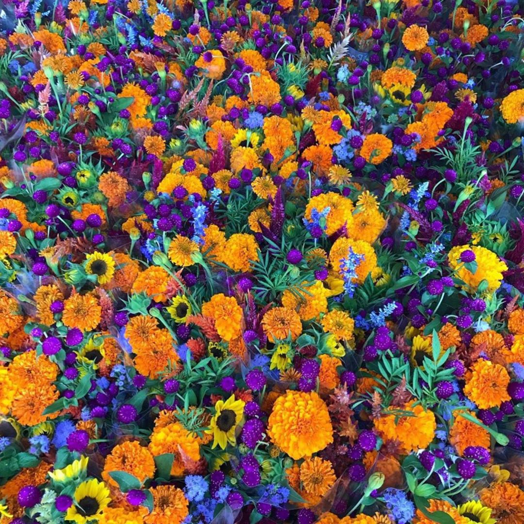 [Social Media] T.O.P Instagram 2020-01-05 00:20:02 (KST) (no caption) | #TOPstagram #탑 #최승현 - 2