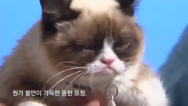 [Social Media] Taeyang #태양 Instagram carousel Feb 26, 2018 6:10pm (KST) 보고싶은 재욱이형.. @ganzi78