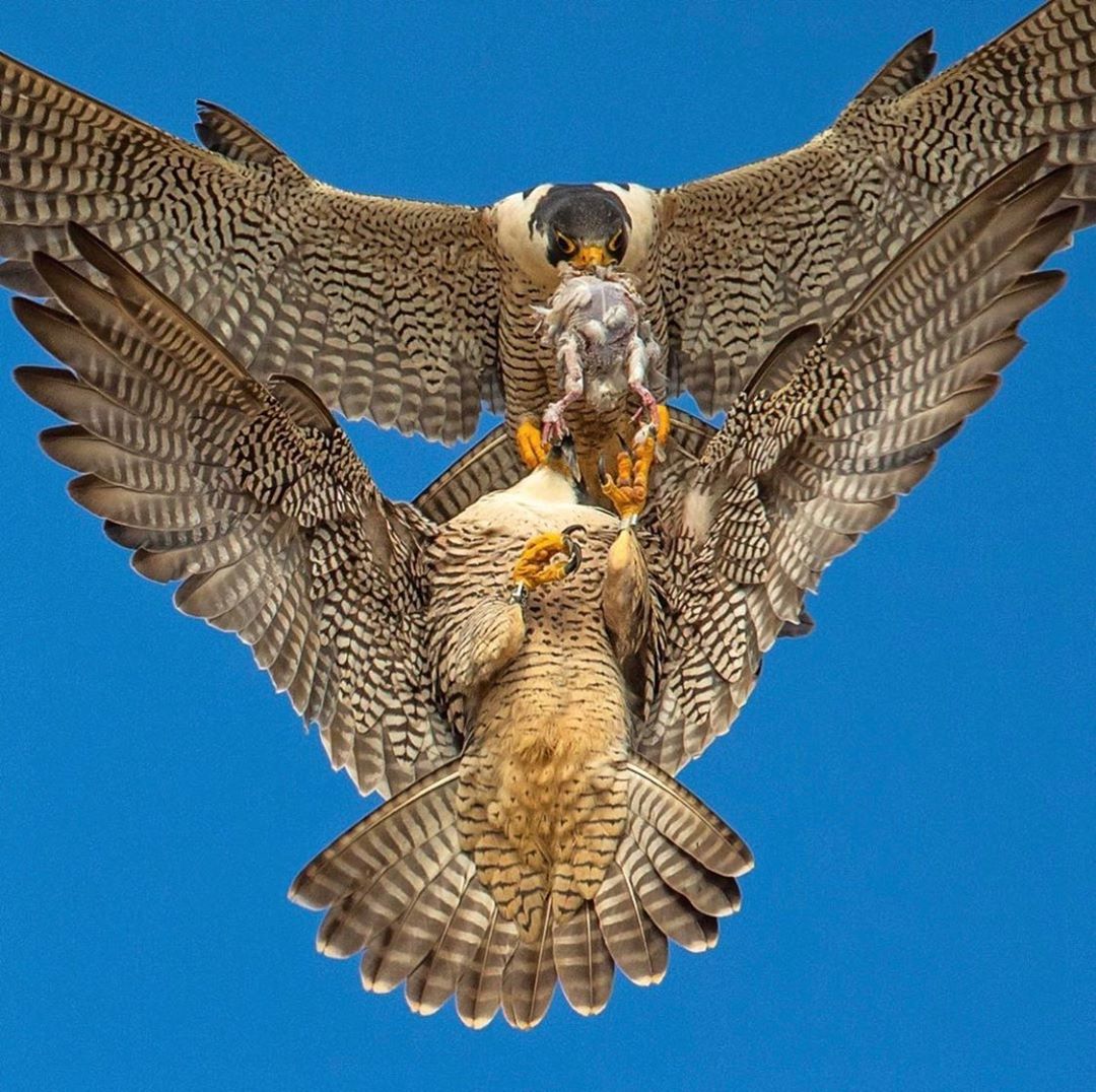 (Social Media) T.O.P Instagram 03/09/2019 17:26:41 (KST) (no caption) #탑 #최승현 - 1