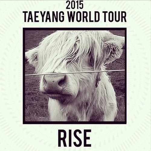 Instagram Update by Taeyang: Coming for ya by __youngbae__ on